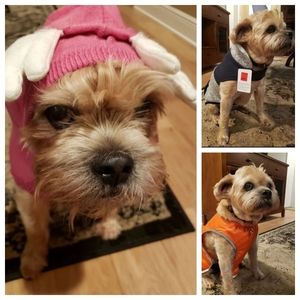 ❤️ 2x Host Pick!🐕🥰 Winter Doggo Outfit Lot L